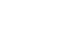 The Festive Group